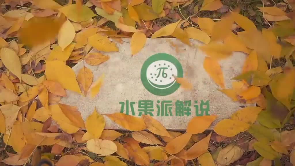π178 吸烟有害健康⚠️