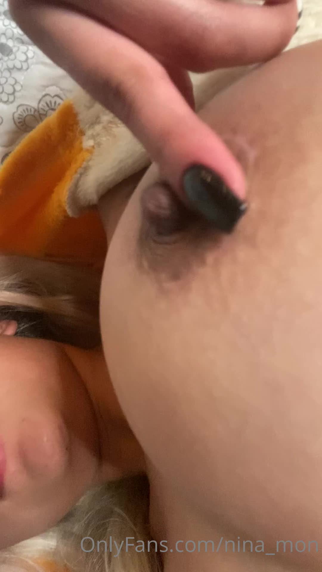 1 (41)