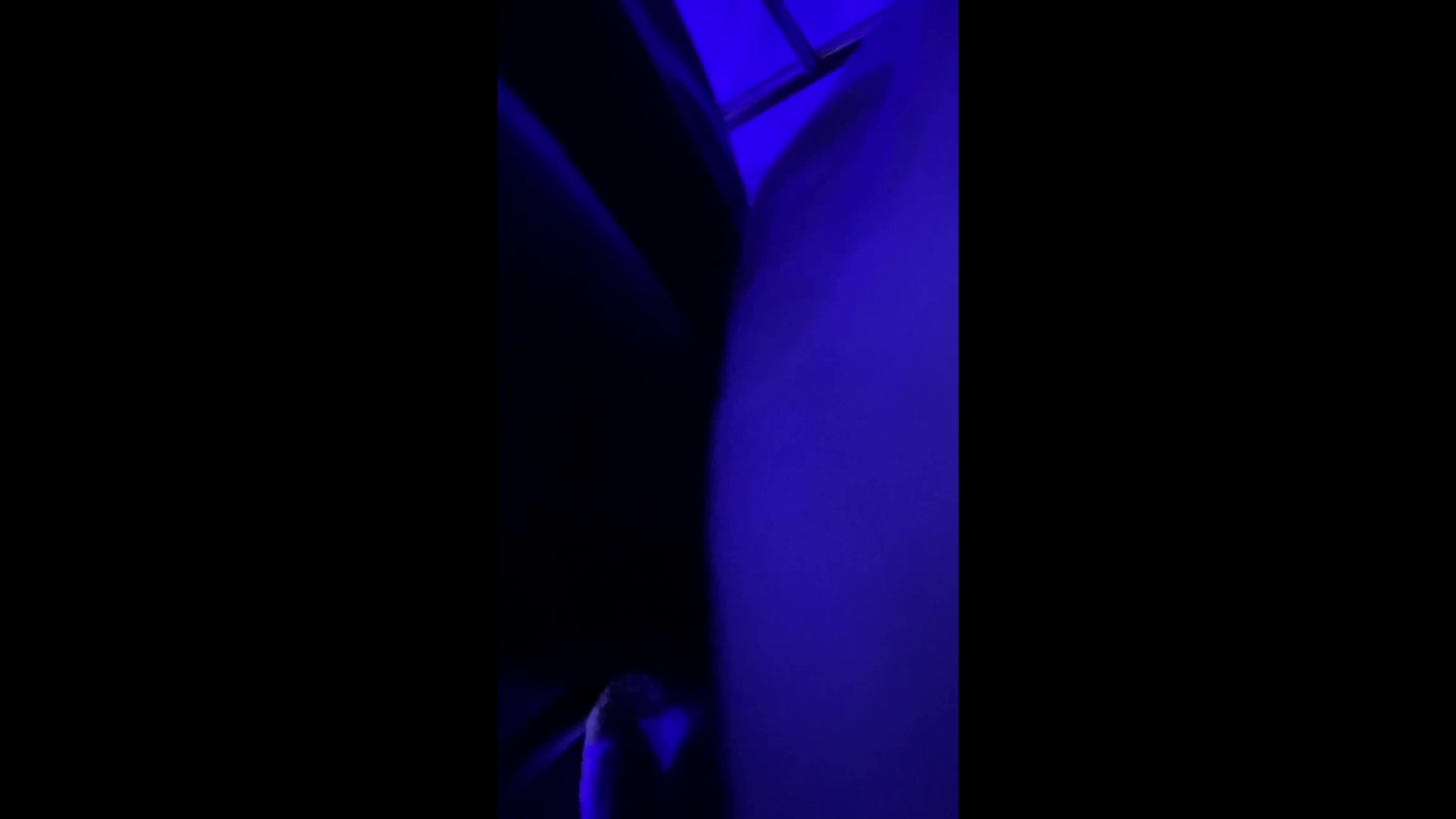 音乐节4 (3)