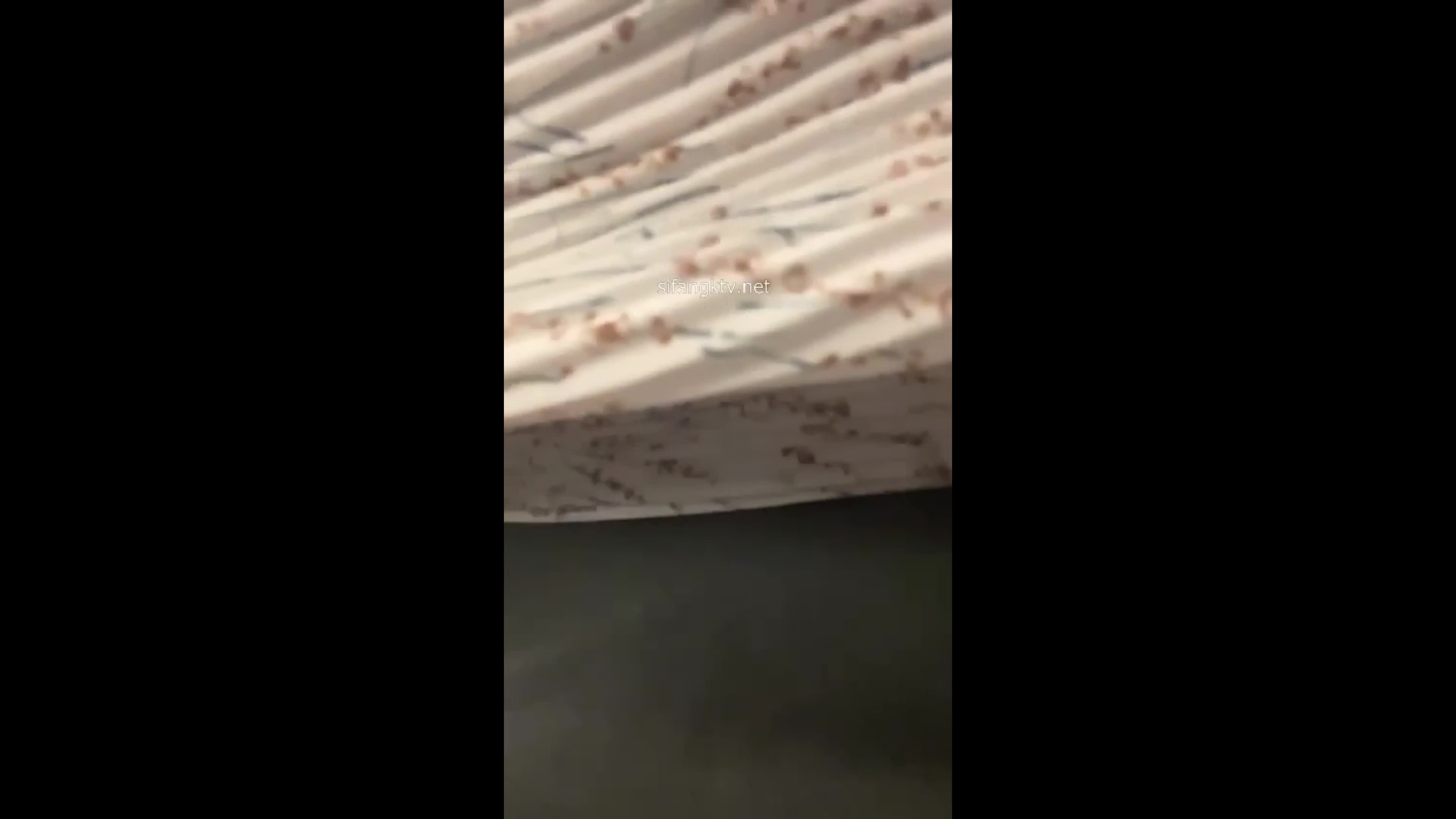 6 (58)