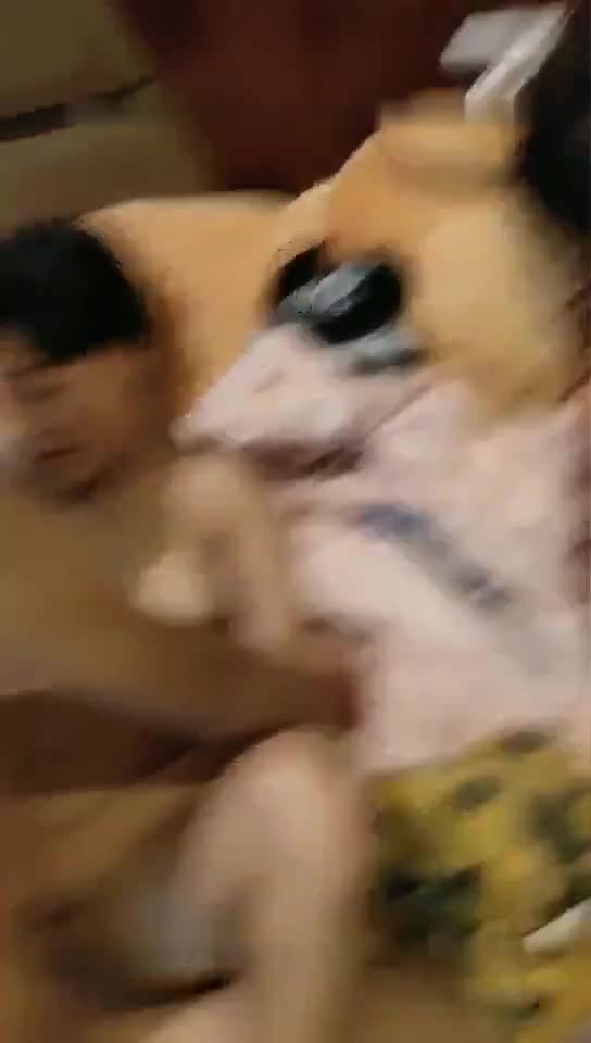 ↗️ 轉發   訂閱 解鎖老司機版 