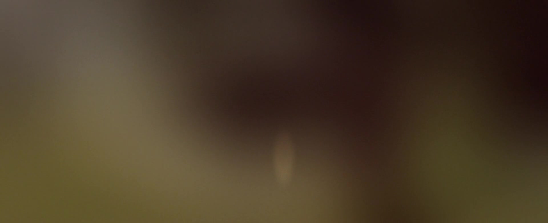 the.wishing.tree.2020.1080p.webrip.x264.aac5.1-[yts.mx]