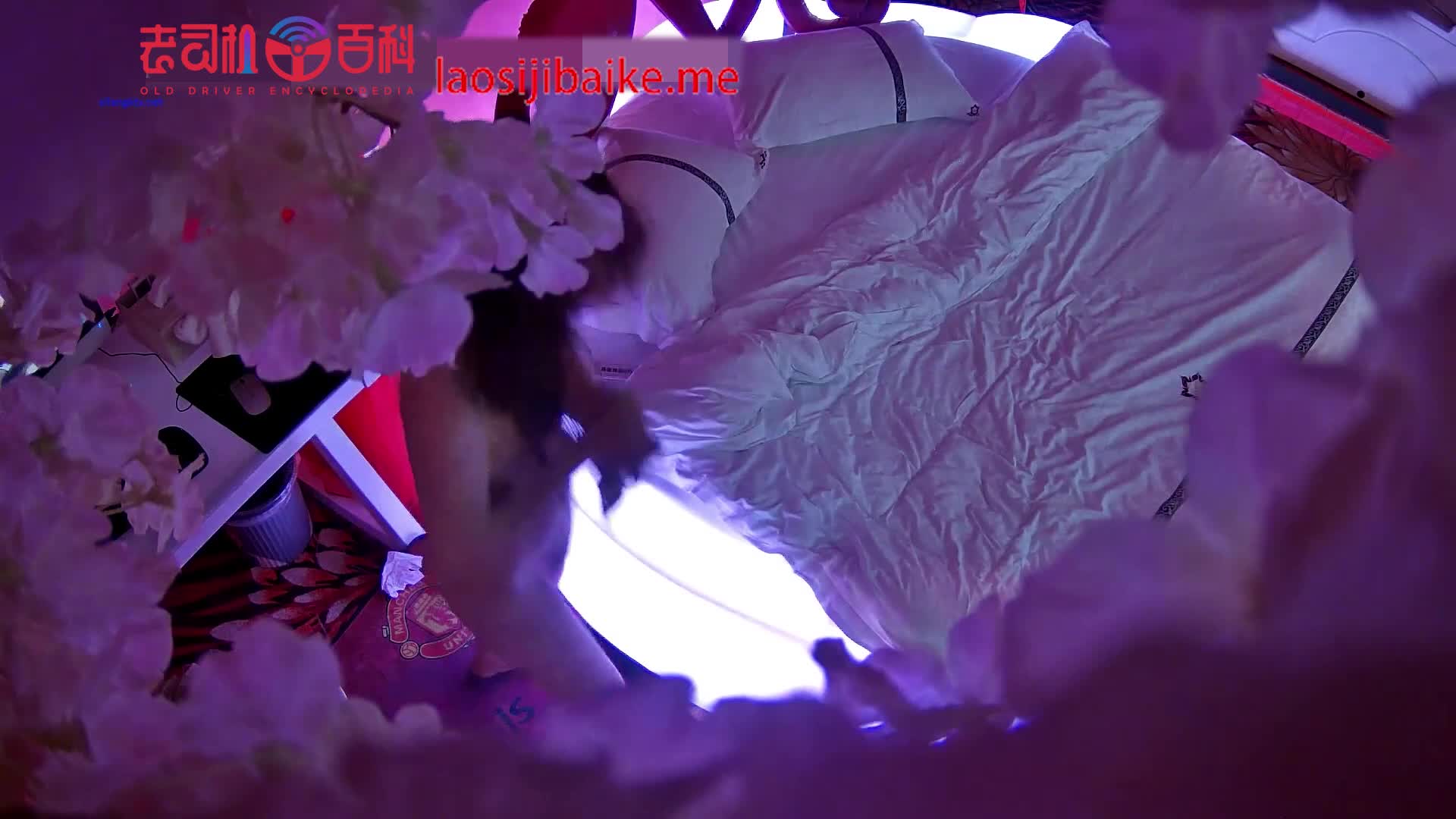 五一放假幽会单位新来的气质美女女大学生开房被偷拍-换了个种姿势操逼

↗️ 轉發   訂閱 解鎖老司機版 