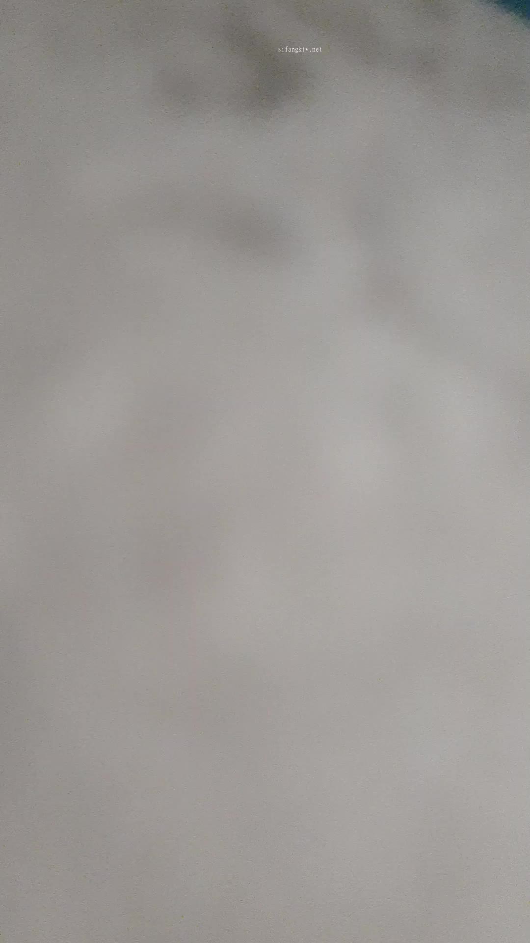 (41)