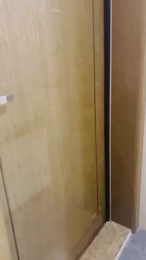 ↗️ 轉發   訂閱 解鎖老司機版 