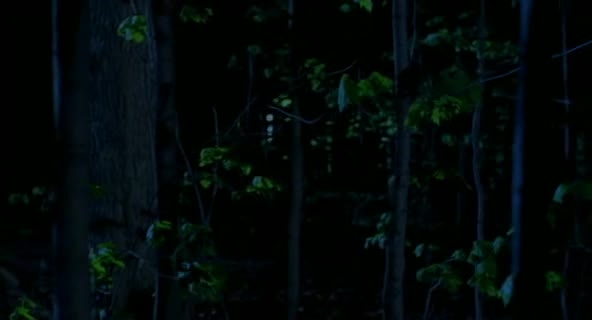 邪魔：山姆海因传奇 evil breed the legend of samhain 2003