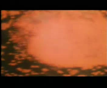 极度兽性