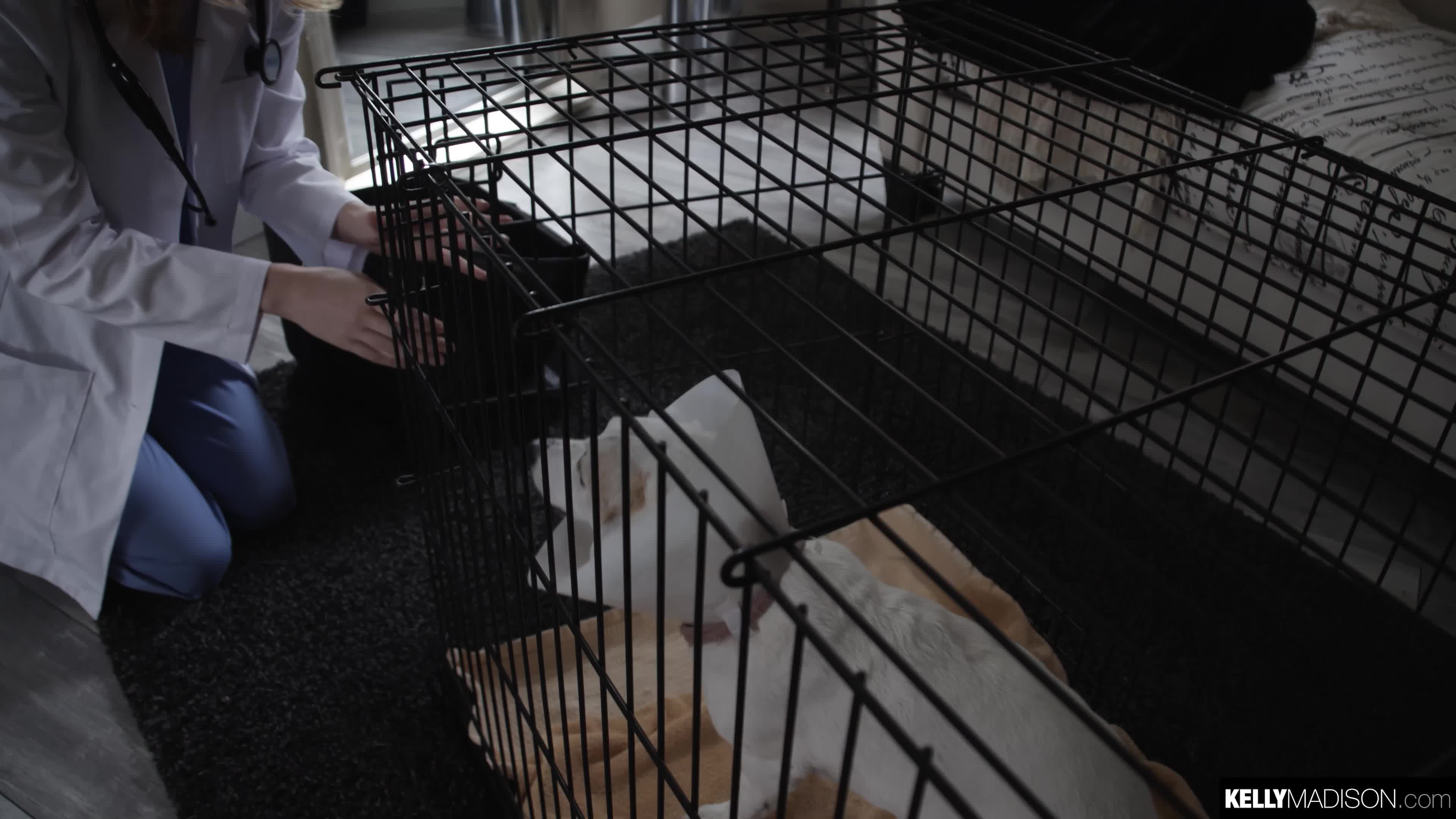 kellymadison.19.05.17.pepper.hart.perfect.pet.4k