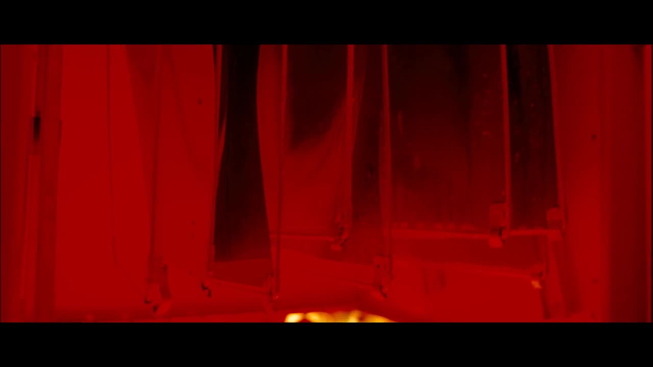 [布吉舞].stilyagi.2008.bluray.720p.x264.ac3-cmct