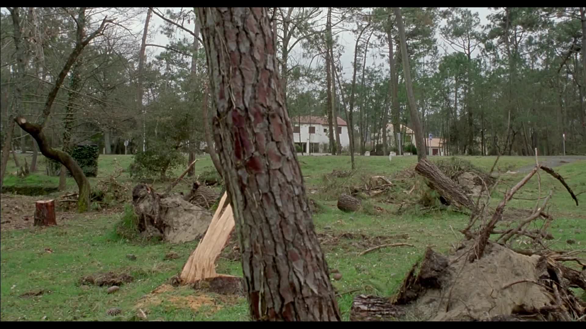 [www.domp4.com]姊妹情色.fat.girl.2001.criterion.collection.bd1080p.中文字幕