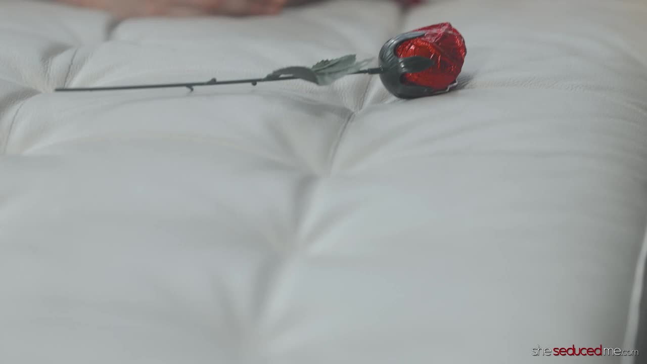 2048.cc -sheseducedme.24.02.12.alex.coal.and.leah.gotti.720p