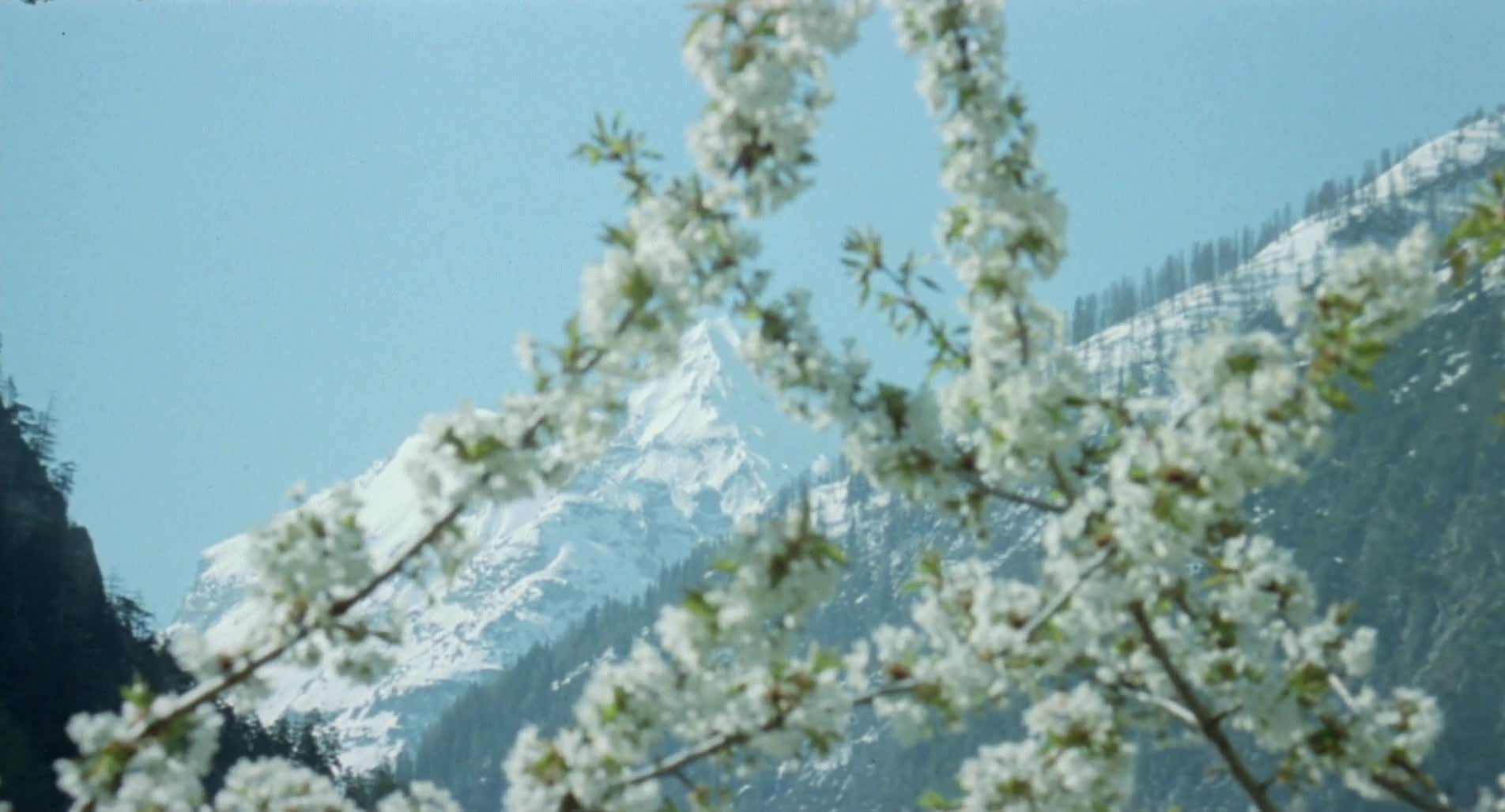 sechs.schwedinnen.auf.der.alm.1983