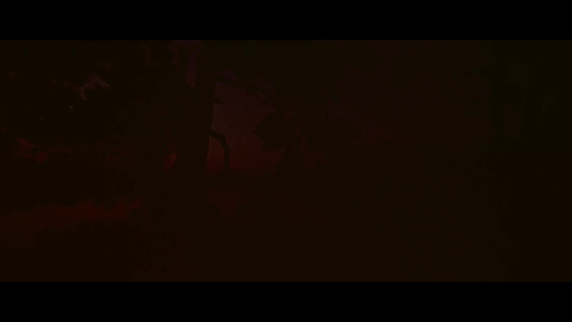 梦魇之瞳 tutti i colori del buio (1972).1080p