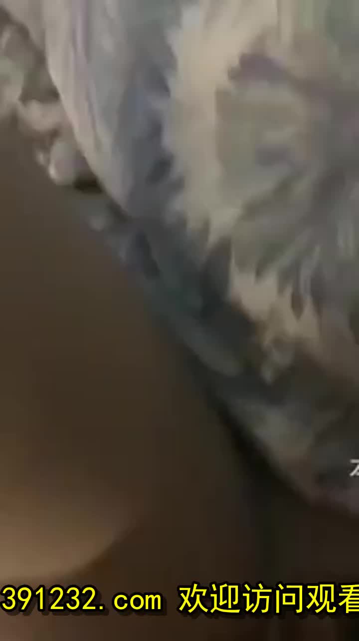  (1)