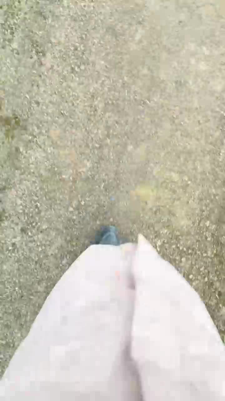  (67)