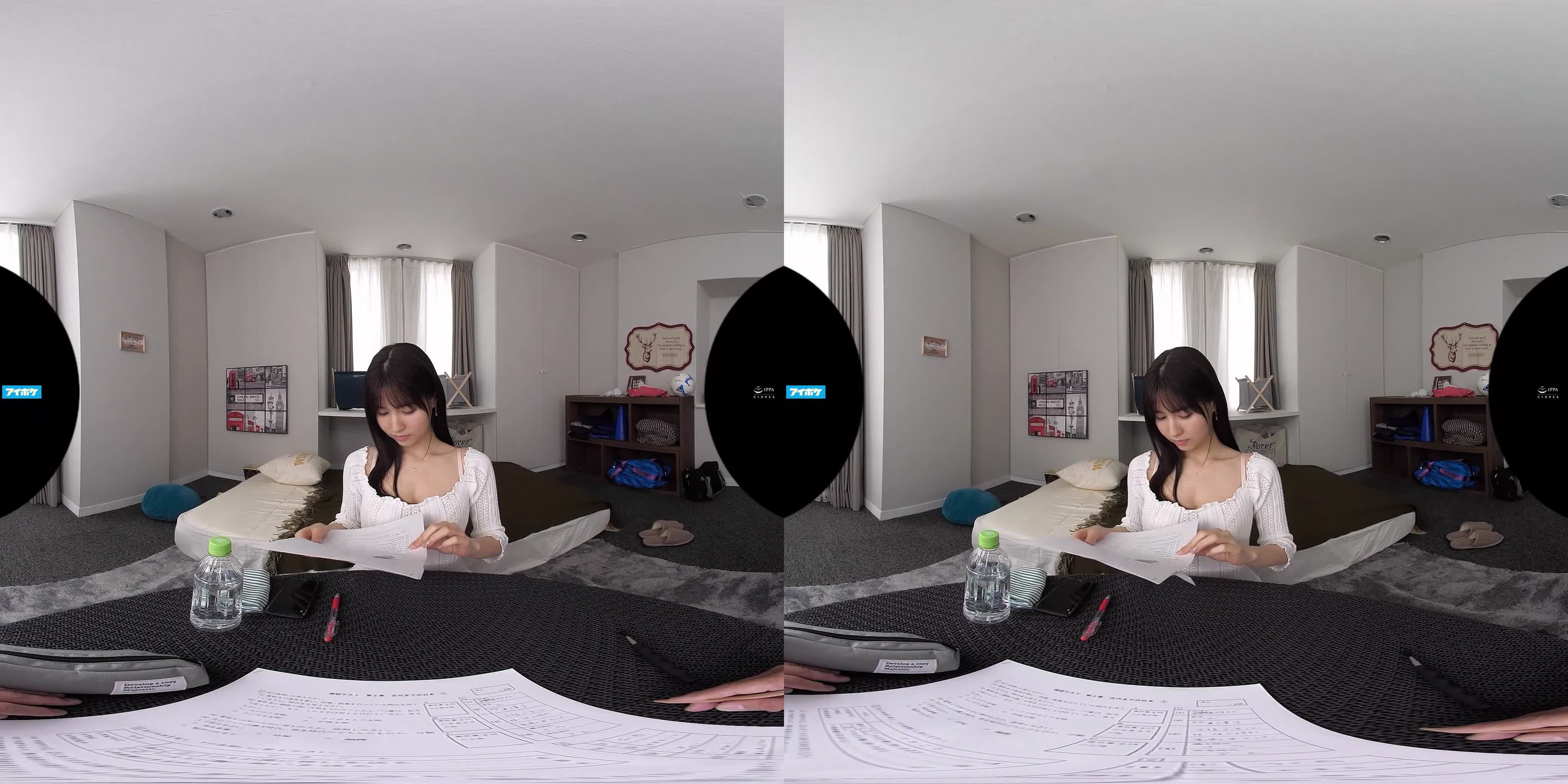 ipvr-220-1