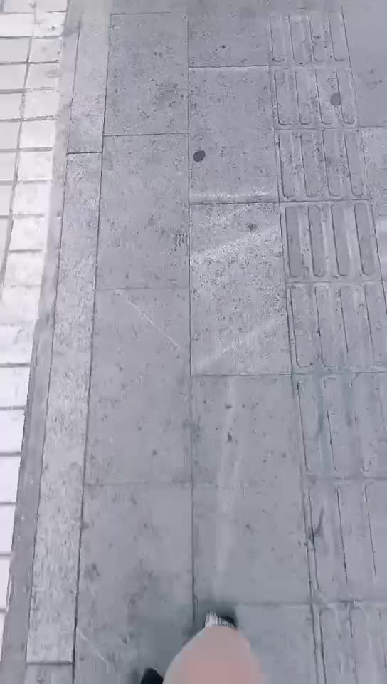  (10)