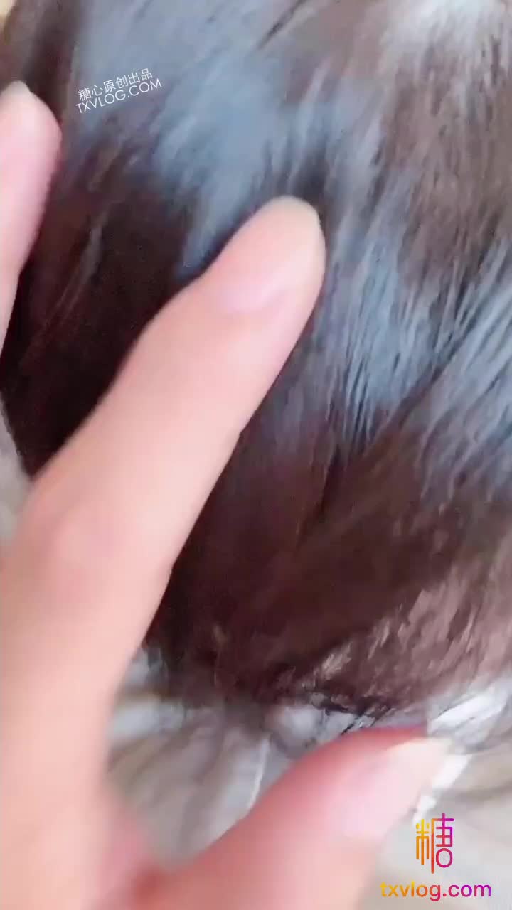 小女友的特殊放松技巧-vid4hdj91z3