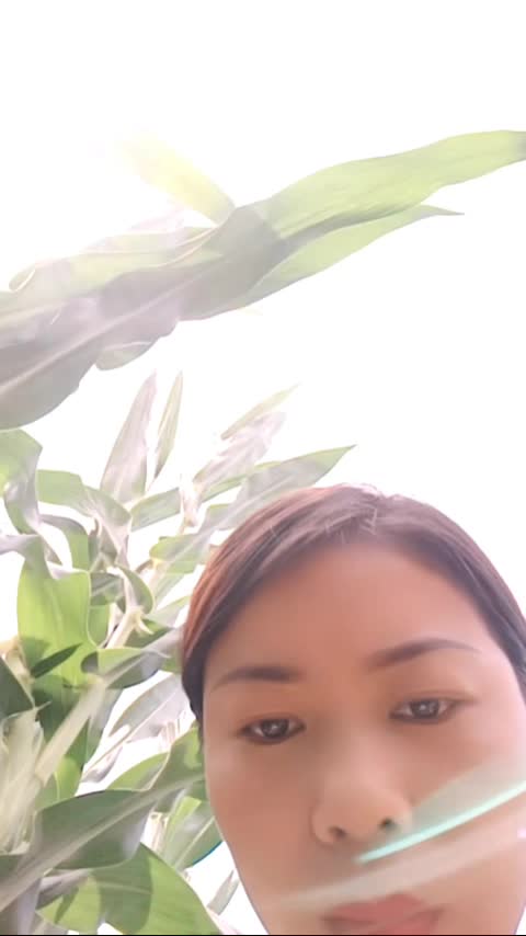 熟女：农村菲菲_2