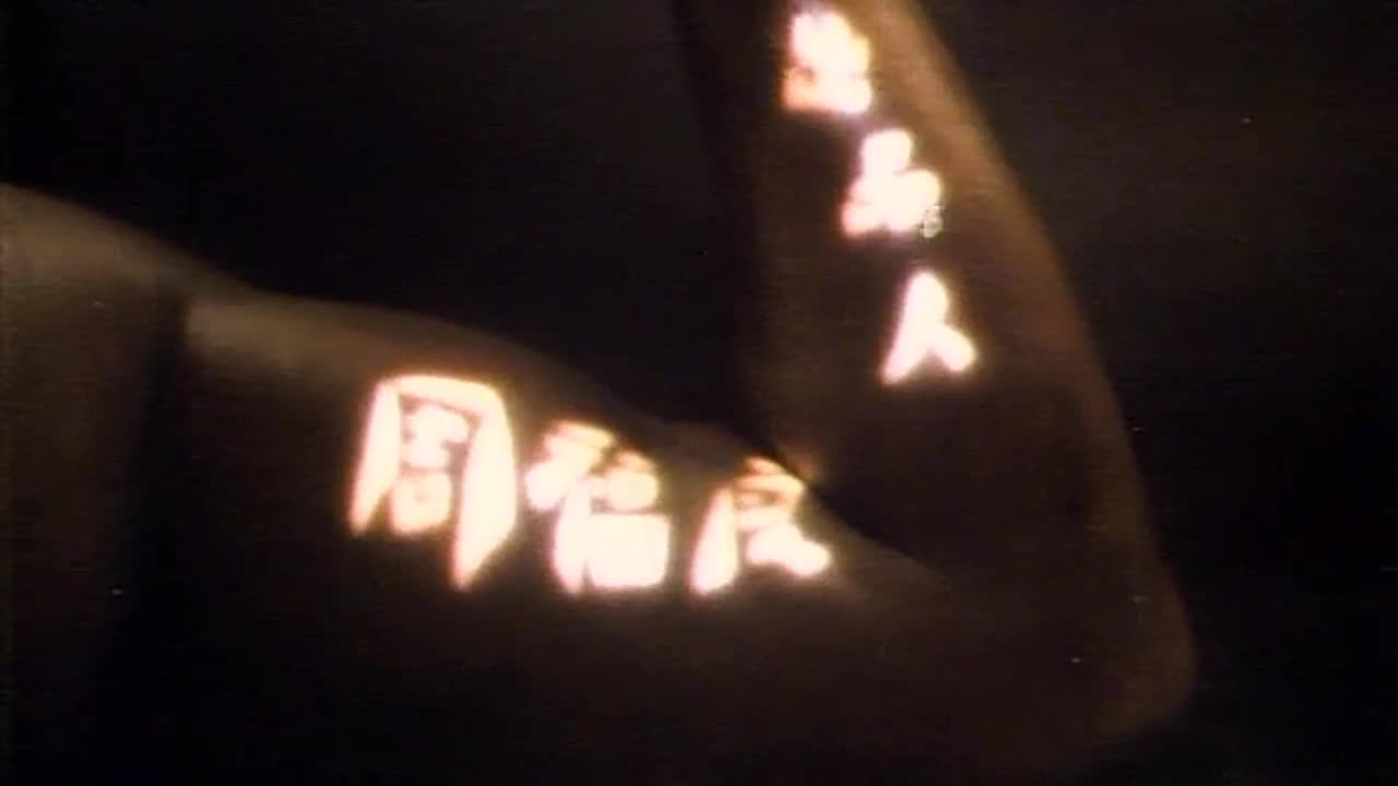 不羁的心