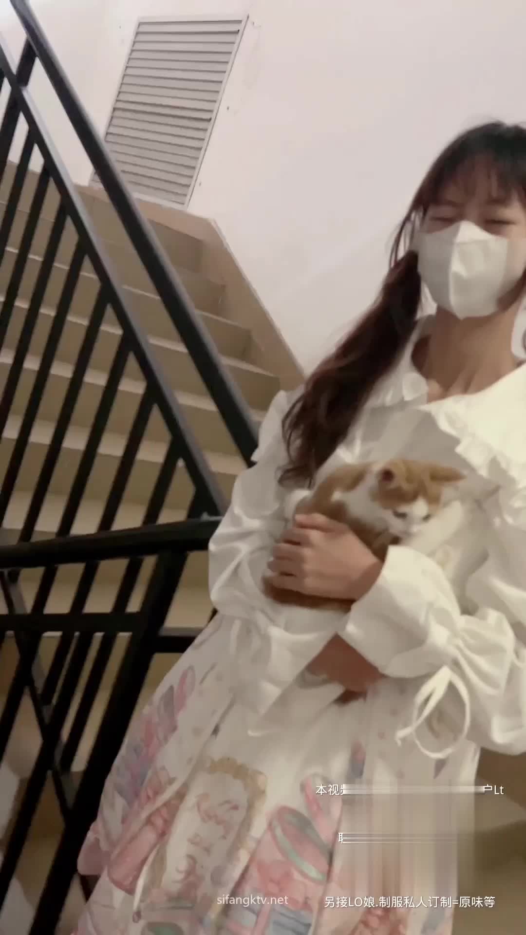 #软软兔