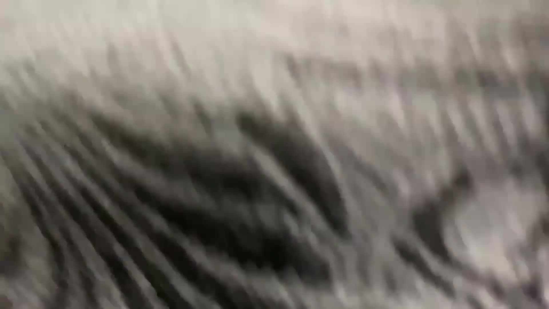 #网盘泄密 #高颜值少妇 粉嫩小穴被抠，淫水狂喷，浑圆饱满大奶子，毒龙狂顶，无套内射！母狗浪叫不断，娇喘连连！