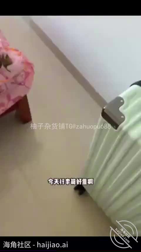 #断腿哥爱乱伦岳母串门，骚气岳母趁女儿不在家，勾引女婿无套内射-断腿哥爱乱伦#海角社区 #真实剧情 #乱伦