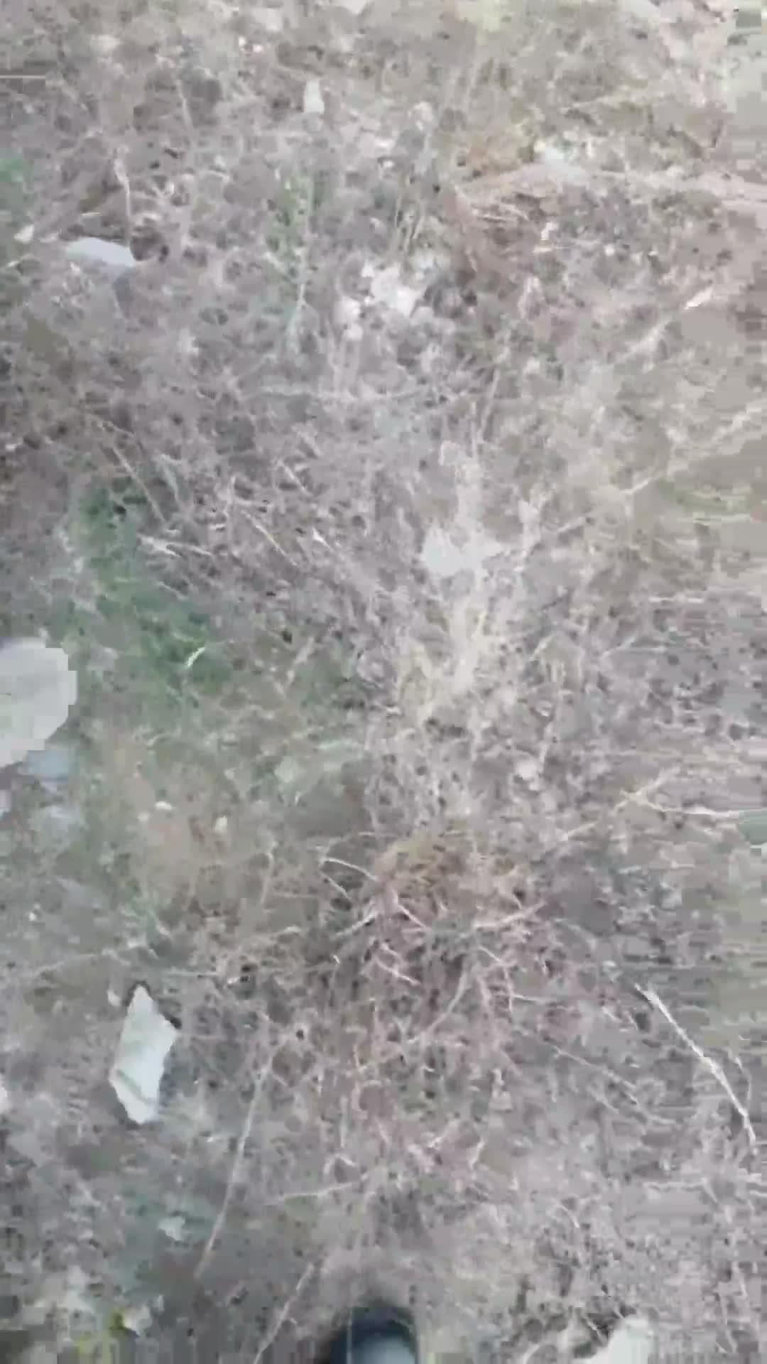 作者： #海角社区 #再嫁的妈妈和女儿主题：与妈妈的继姐一同爬山时，私下与继姐进行了亲密接触，爆操她。