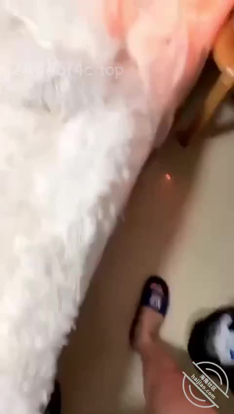 作者：#海角社区 #断腿哥爱乱伦主题：骚逼妹妹在出租屋日记逗逗狗欲望一到来两个一起洗澡就开操