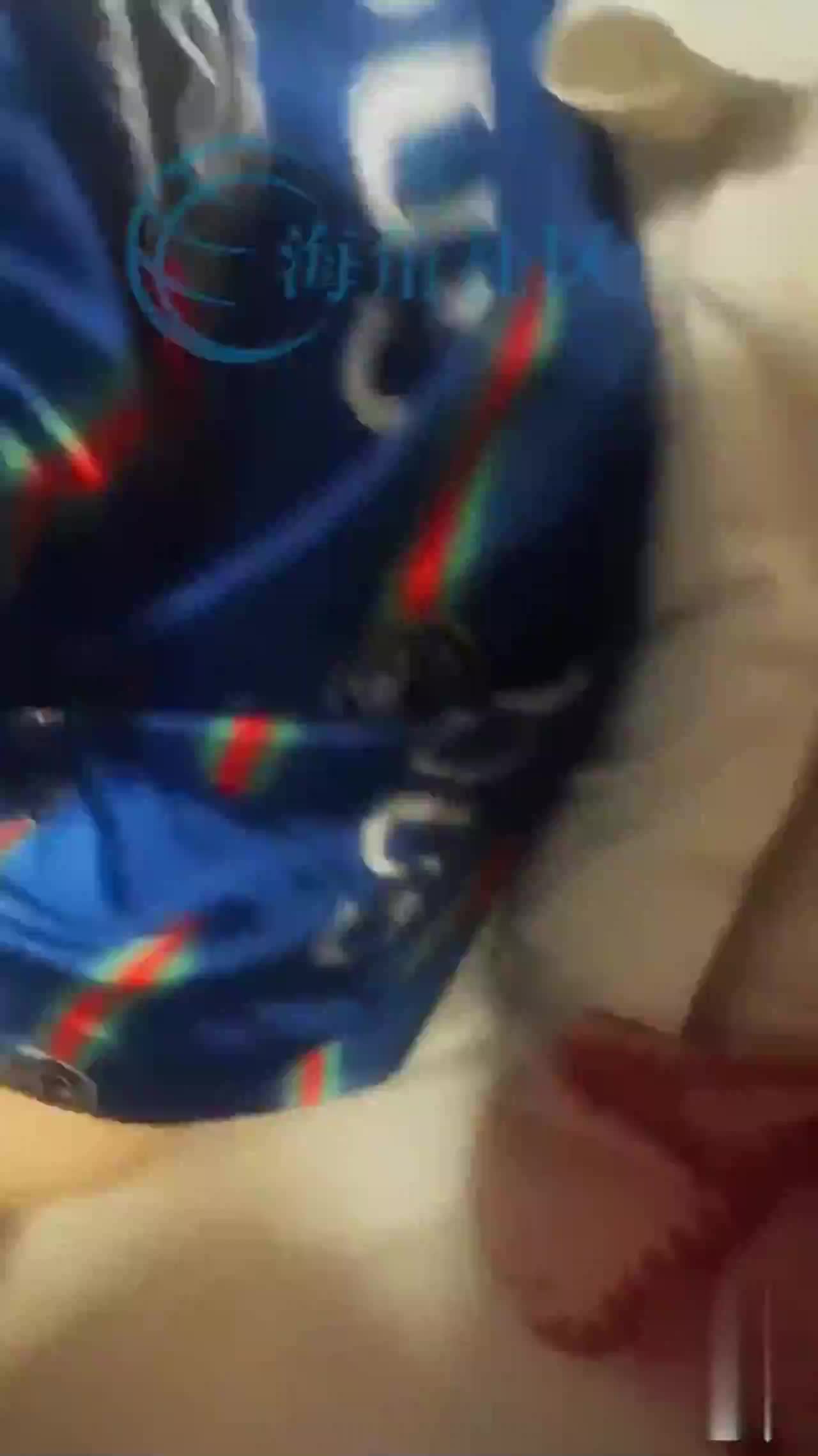 操领导视频来了，阳性领导不给操，被我脱裤子强操，刚插进去就开始发骚