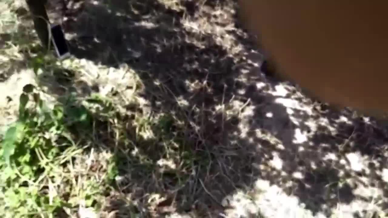 她在野外尽情裸露，光洁白虎私处无套特写