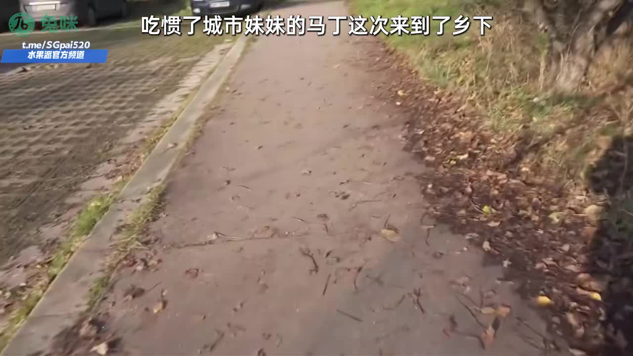 水果派 250618G 【捷克搭讪】探花白虎二重奏，史上为数不多的中出先操金发女神再战骨感萝莉，超强视角直击白虎嫩穴#欧美 #搭讪 #捷克 #约泡 #双飞