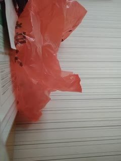 吃瓜,爆料【换妻探花】，30岁气质文员，洗浴完进入正题，小少妇欲拒还迎，骚穴被舔的刹那释放了自我尽情享受其中